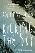 Kicking_The_Sky