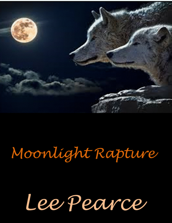 Book Cover: Moonlight Rapture
