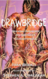 Book Cover: DrawBridge