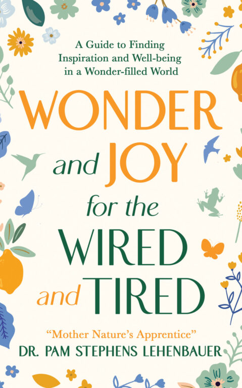 Book Cover: Wonder and Joy for the Wired and Tired