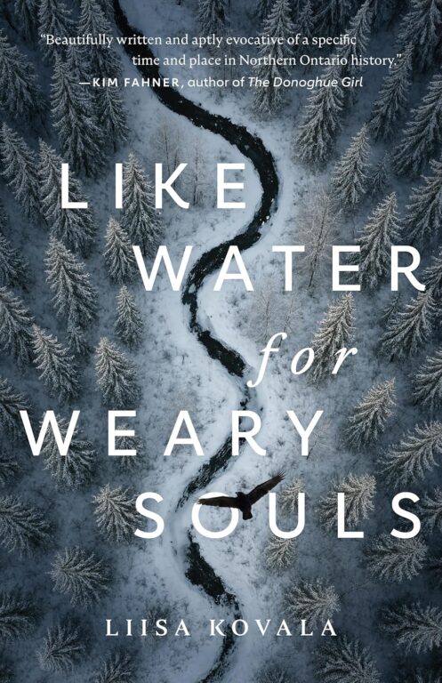 Book Cover: Like Water for Weary Souls