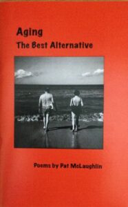 Book Cover: Aging The Best Alternative
