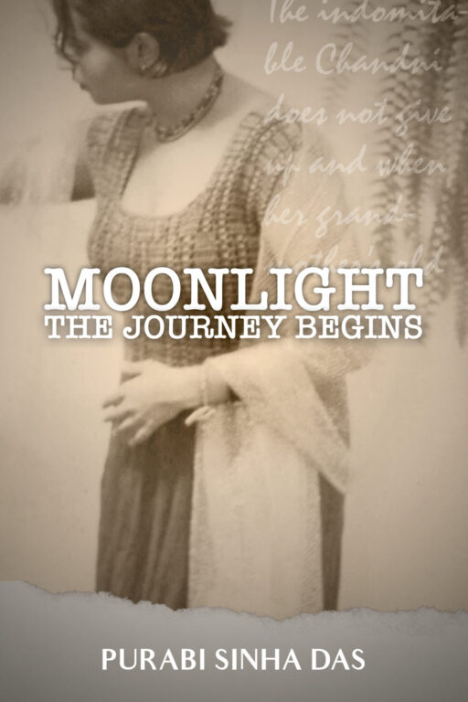 Book Cover: Moonlight - The Journey Begins