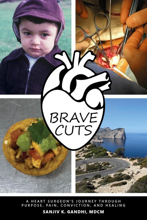 Book Cover: Brave Cuts